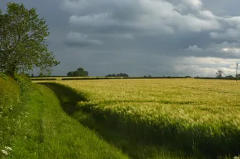 Barley field edge storm clouds.jpg
